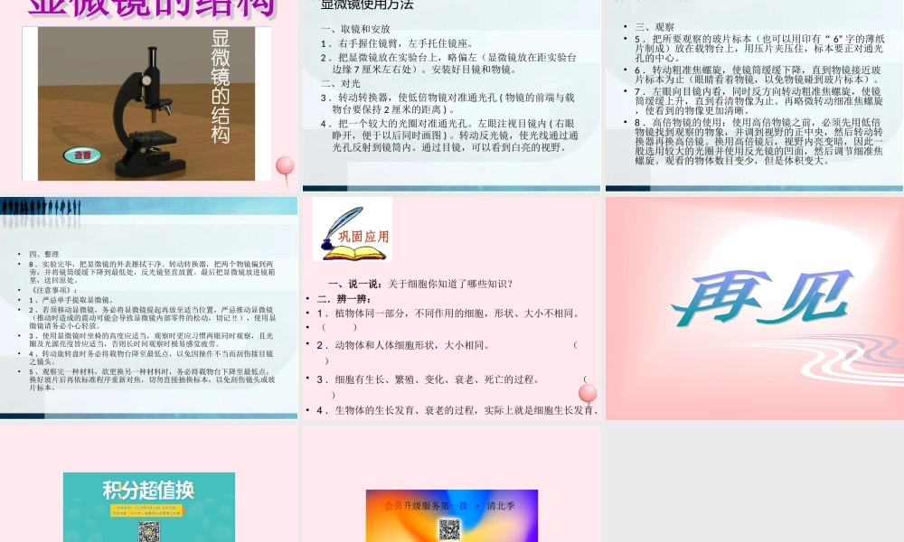 五年级科学下册 第一单元 人的一生 第1课《细胞》课件1 青岛版五四制-青岛版小学五年级下册自然科学课件