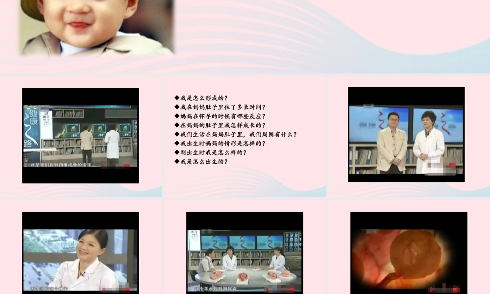 五年级科学下册 第一单元 人的一生 第2课《我从哪里来》课件1 青岛版五四制-青岛版小学五年级下册自然科学课件