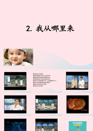 五年级科学下册 第一单元 人的一生 第2课《我从哪里来》课件1 青岛版五四制-青岛版小学五年级下册自然科学课件