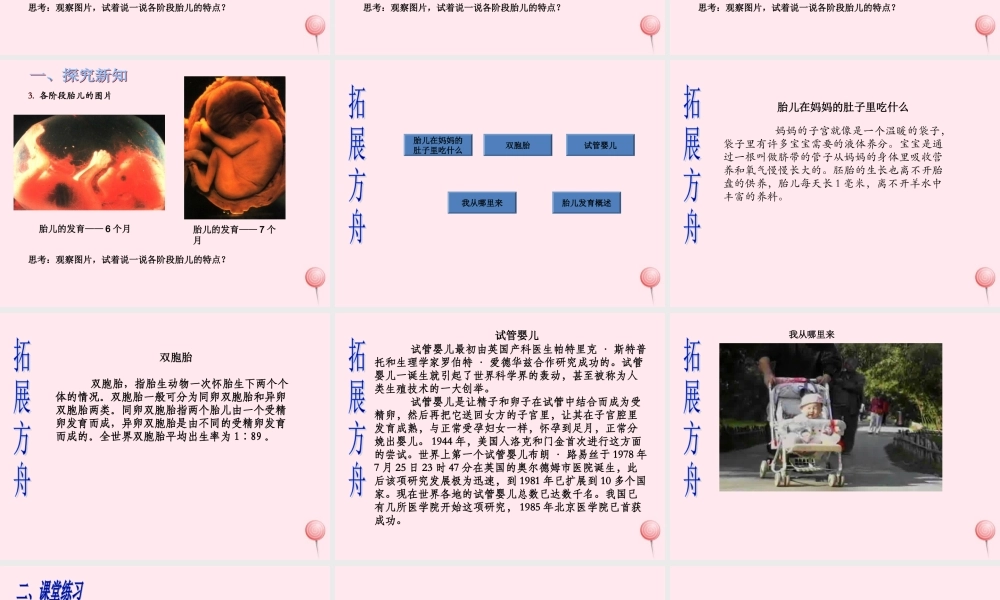 五年级科学下册 第一单元 人的一生 第2课《我从哪里来》课件2 青岛版五四制-青岛版小学五年级下册自然科学课件