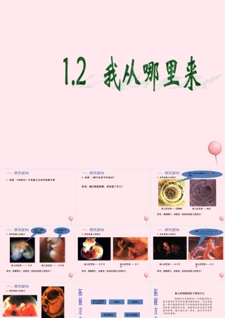 五年级科学下册 第一单元 人的一生 第2课《我从哪里来》课件2 青岛版五四制-青岛版小学五年级下册自然科学课件