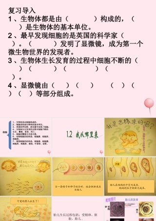 五年级科学下册 第一单元 人的一生 第2课《我从哪里来》课件3 青岛版五四制-青岛版小学五年级下册自然科学课件