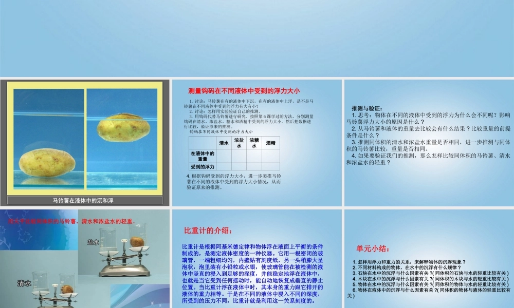 五年级科学下册 探究马铃薯沉浮的原因1课件 教科版