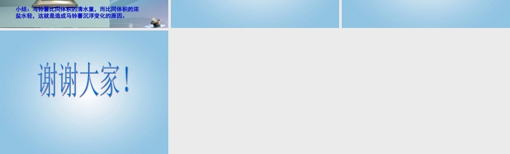 五年级科学下册 探究马铃薯沉浮的原因1课件 教科版