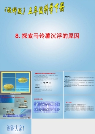五年级科学下册 探究马铃薯沉浮的原因1课件 教科版
