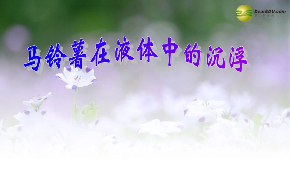 五年级科学下册 探究马铃薯沉浮的原因课件1 教科版