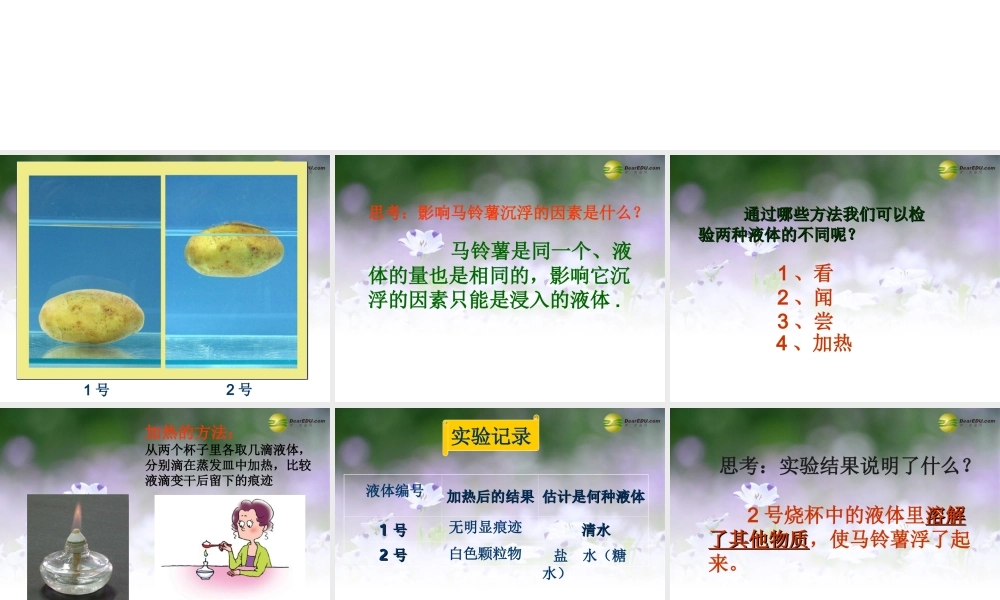 五年级科学下册 探究马铃薯沉浮的原因课件1 教科版
