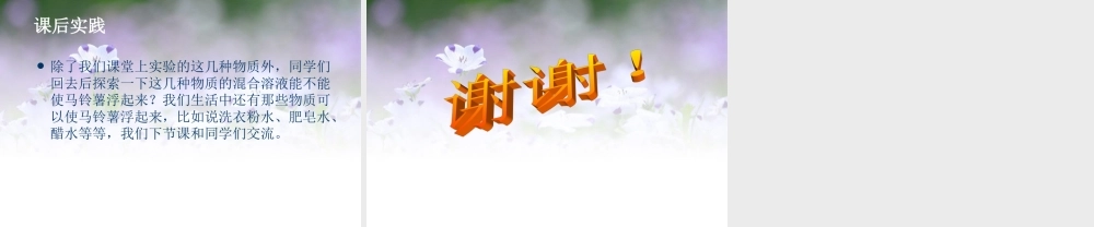 五年级科学下册 探究马铃薯沉浮的原因课件1 教科版
