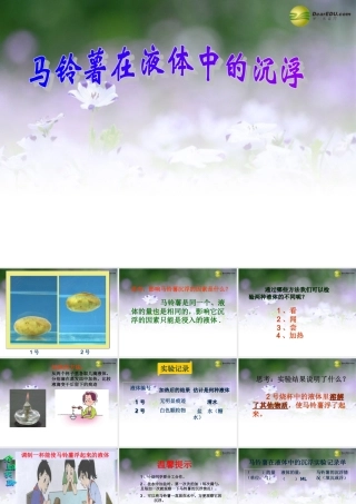 五年级科学下册 探究马铃薯沉浮的原因课件1 教科版