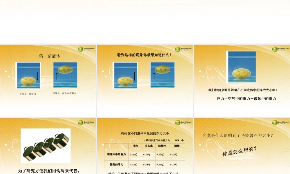 五年级科学下册 探究马铃薯沉浮的原因课件2 教科版