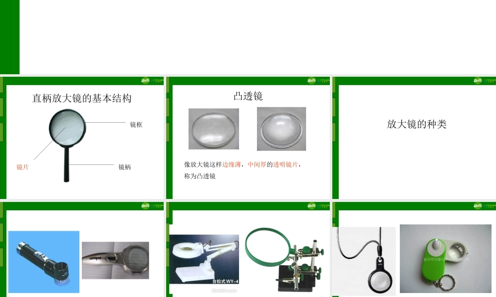 五年级科学下册 凸透镜课件 青岛版