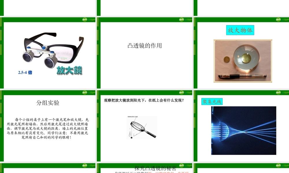 五年级科学下册 凸透镜课件 青岛版