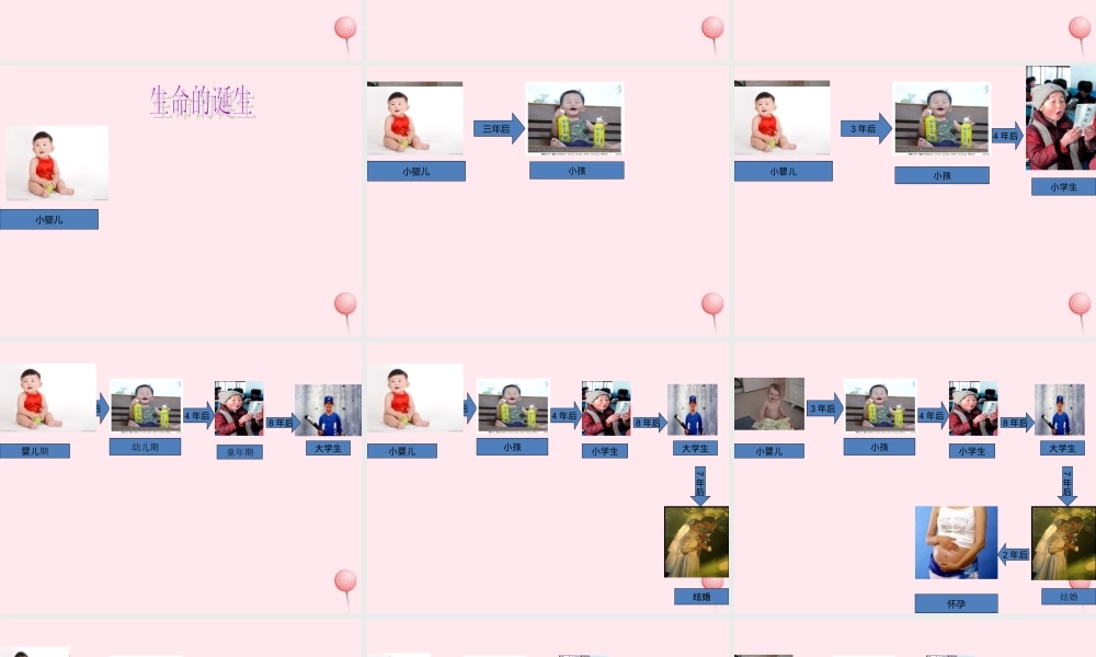 五年级科学下册 第一单元 人的一生 第3课《人的一生》课件3 青岛版五四制-青岛版小学五年级下册自然科学课件