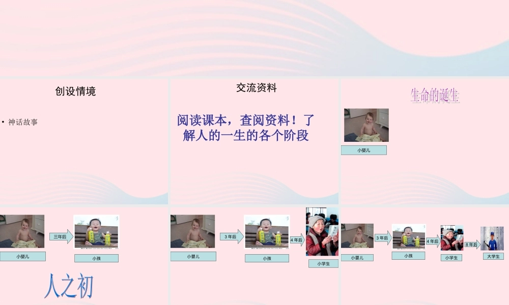 五年级科学下册 第一单元 人的一生 第3课《人的一生》课件4 青岛版五四制-青岛版小学五年级下册自然科学课件