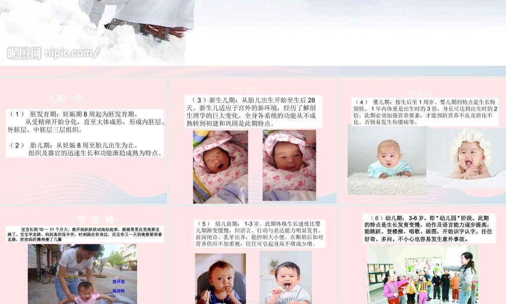 五年级科学下册 第一单元 人的一生 第3课《人的一生》课件5 青岛版五四制-青岛版小学五年级下册自然科学课件