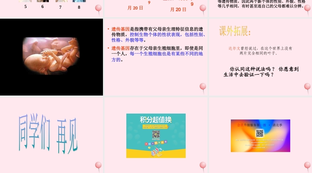 五年级科学下册 第一单元 人的一生 第4课《我像谁》课件1 青岛版五四制-青岛版小学五年级下册自然科学课件