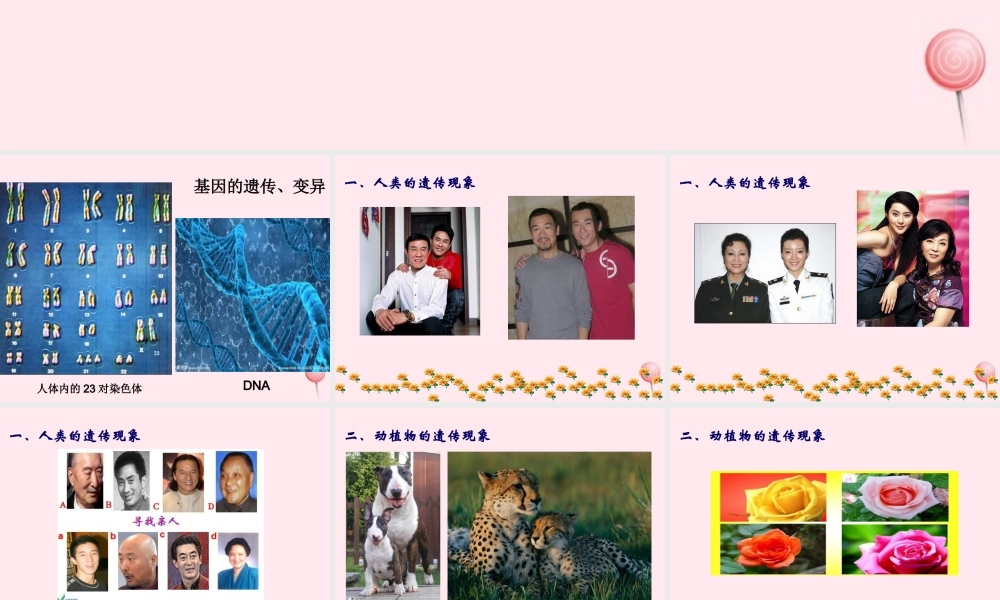 五年级科学下册 第一单元 人的一生 第4课《我像谁》课件2 青岛版五四制-青岛版小学五年级下册自然科学课件
