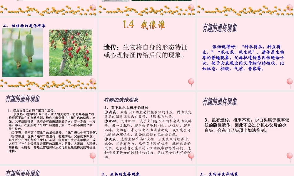 五年级科学下册 第一单元 人的一生 第4课《我像谁》课件2 青岛版五四制-青岛版小学五年级下册自然科学课件