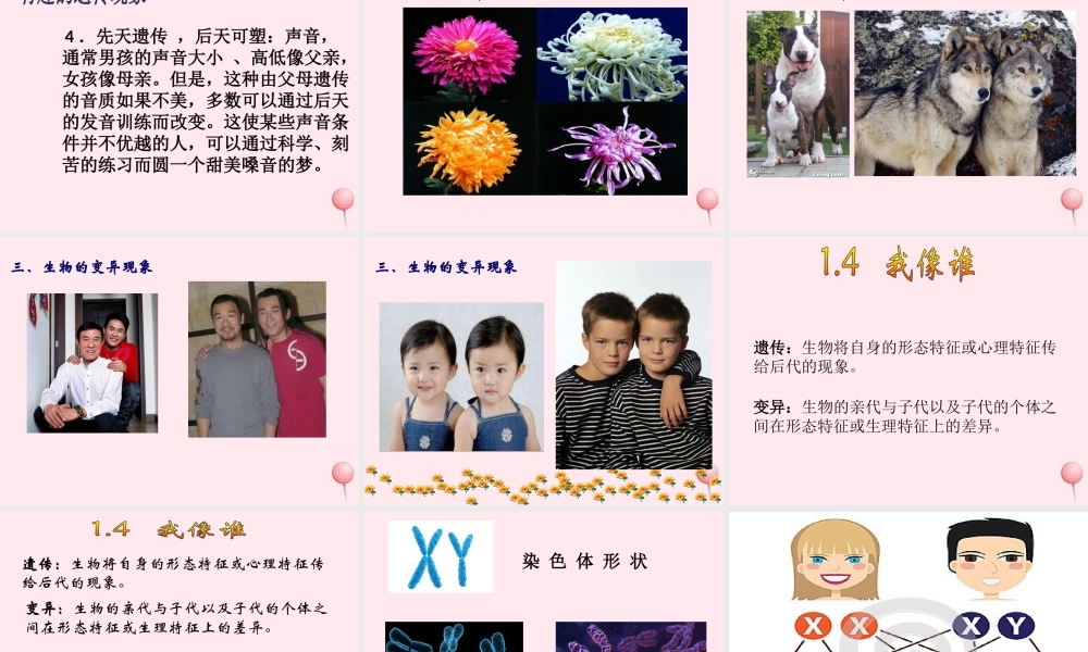 五年级科学下册 第一单元 人的一生 第4课《我像谁》课件2 青岛版五四制-青岛版小学五年级下册自然科学课件