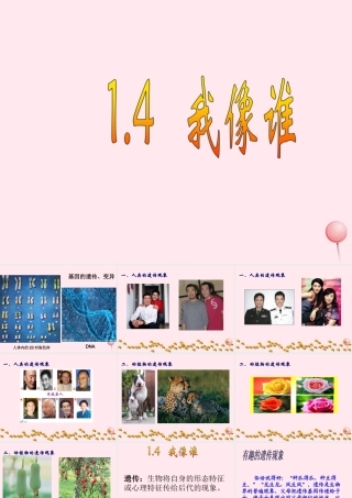 五年级科学下册 第一单元 人的一生 第4课《我像谁》课件2 青岛版五四制-青岛版小学五年级下册自然科学课件