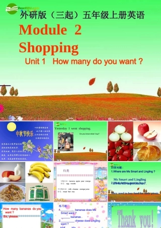 五年级英语上册 Module 2 Unit 1  How many do you want课件 外研版三起