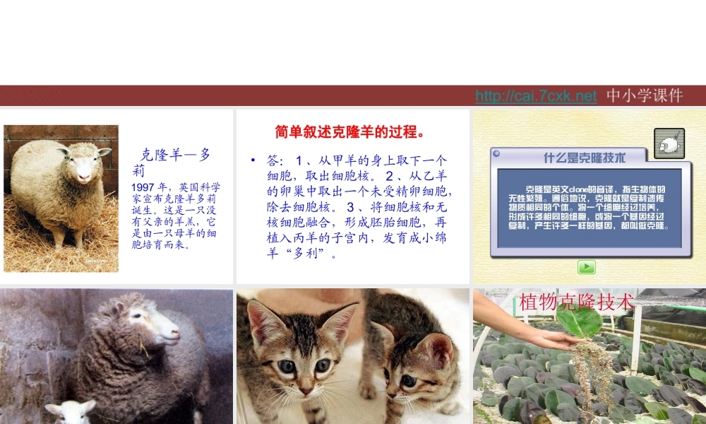 五年级科学下册 第一单元 人的一生 第5课《生物繁殖新技术》课件5 青岛版五四制-青岛版小学五年级下册自然科学课件