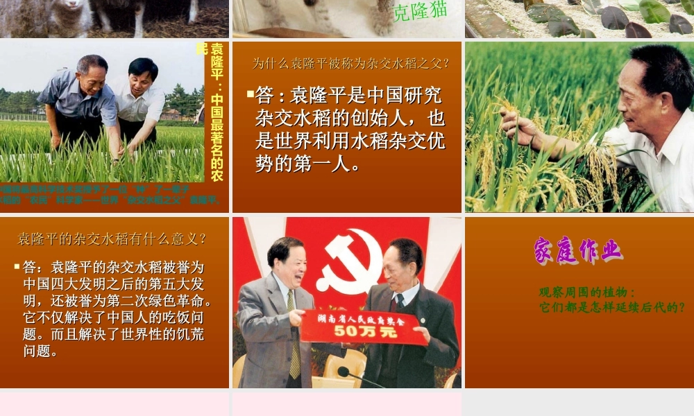 五年级科学下册 第一单元 人的一生 第5课《生物繁殖新技术》课件5 青岛版五四制-青岛版小学五年级下册自然科学课件