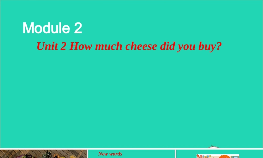 五年级英语上册 Module 2 Unit 2 How much cheese did you buy课件+素材 外研版（三起）