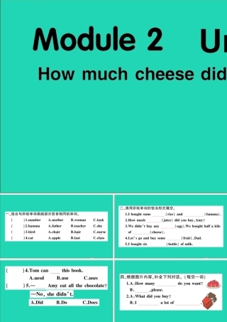 五年级英语上册 Module 2 Unit 2 How much cheese did you buy作业课件 外研版（三起）-外研版小学五年级上册英语课件