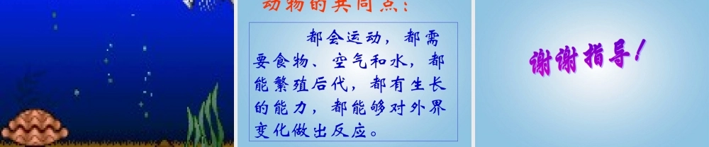 五年级科学下册 形形色色的动物1课件 鄂教版