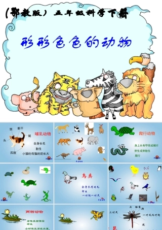 五年级科学下册 形形色色的动物1课件 鄂教版