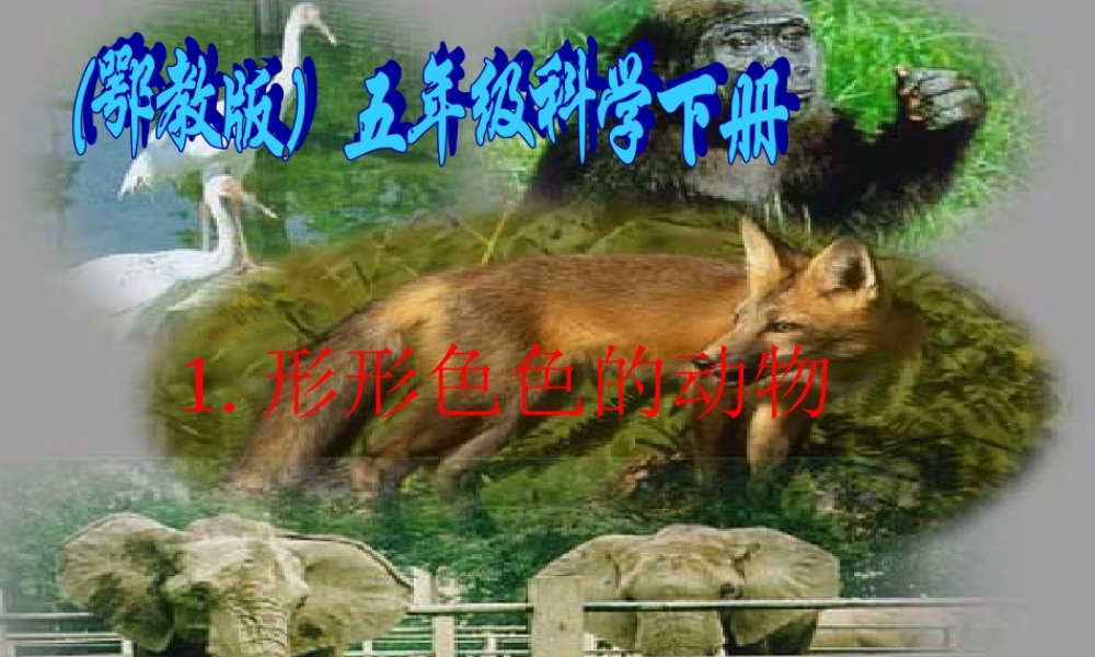 五年级科学下册 形形色色的动物2课件 鄂教版