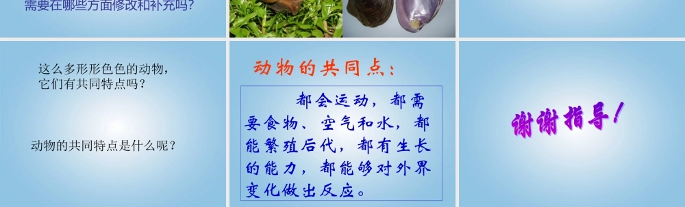 五年级科学下册 形形色色的动物2课件 鄂教版