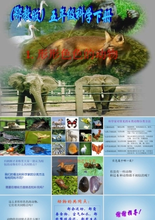 五年级科学下册 形形色色的动物2课件 鄂教版