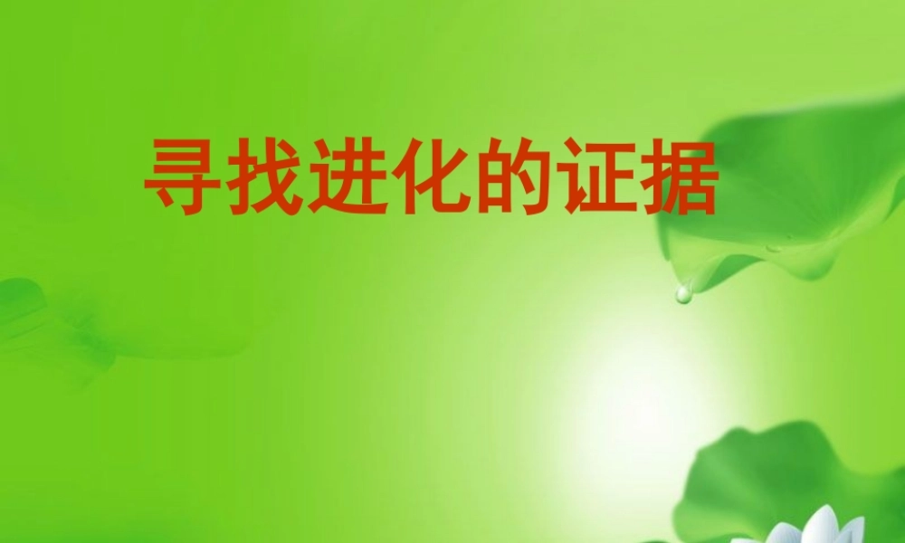 五年级科学下册 寻找进化的证据课件 冀教版