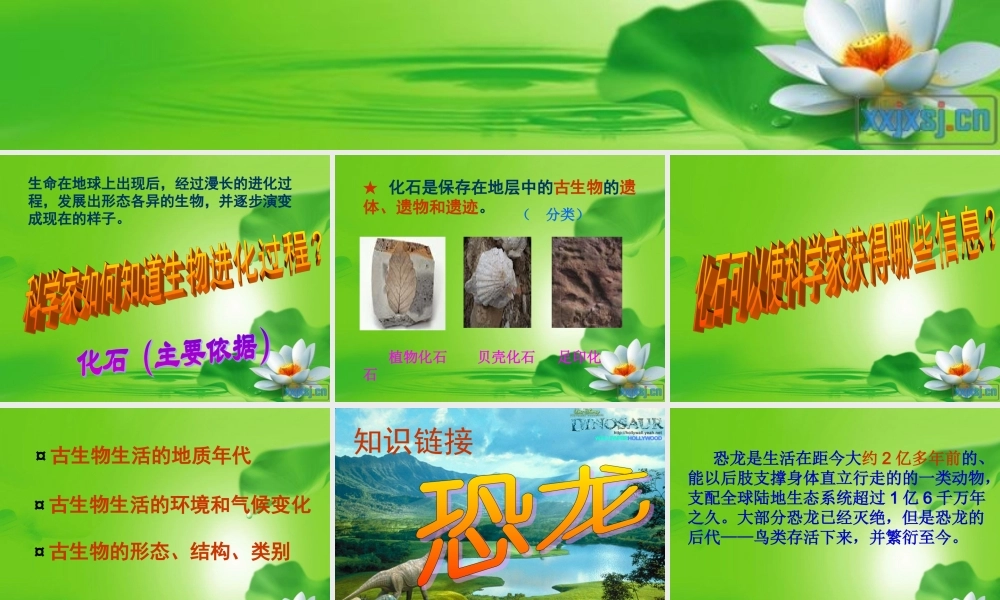 五年级科学下册 寻找进化的证据课件 冀教版