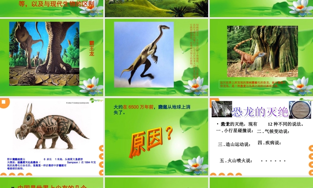 五年级科学下册 寻找进化的证据课件 冀教版