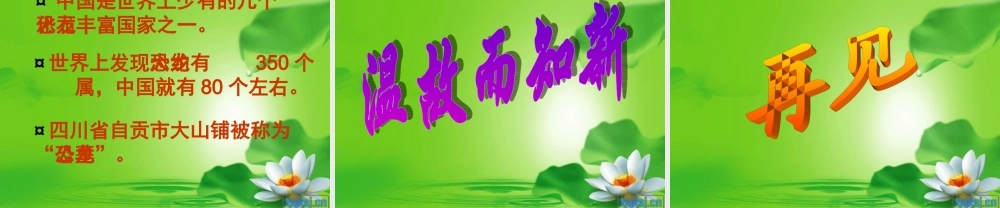 五年级科学下册 寻找进化的证据课件 冀教版