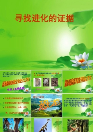 五年级科学下册 寻找进化的证据课件 冀教版