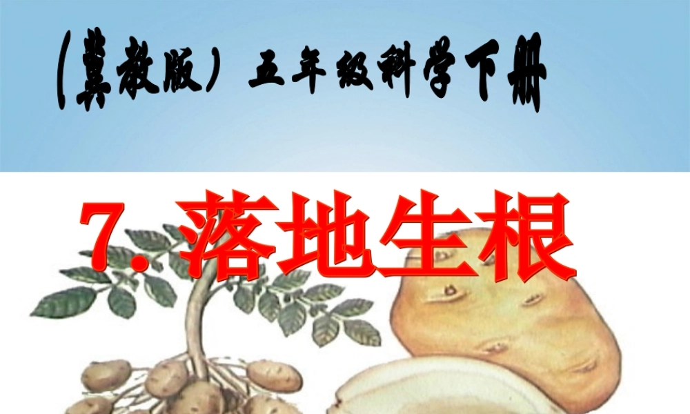 五年级科学下册 落地生根3课件 冀教版