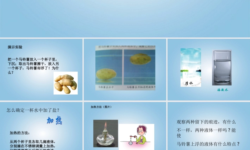 五年级科学下册 马铃薯在液体中的沉浮1课件 教科版
