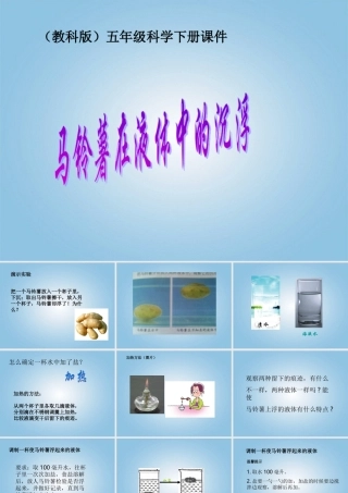 五年级科学下册 马铃薯在液体中的沉浮1课件 教科版