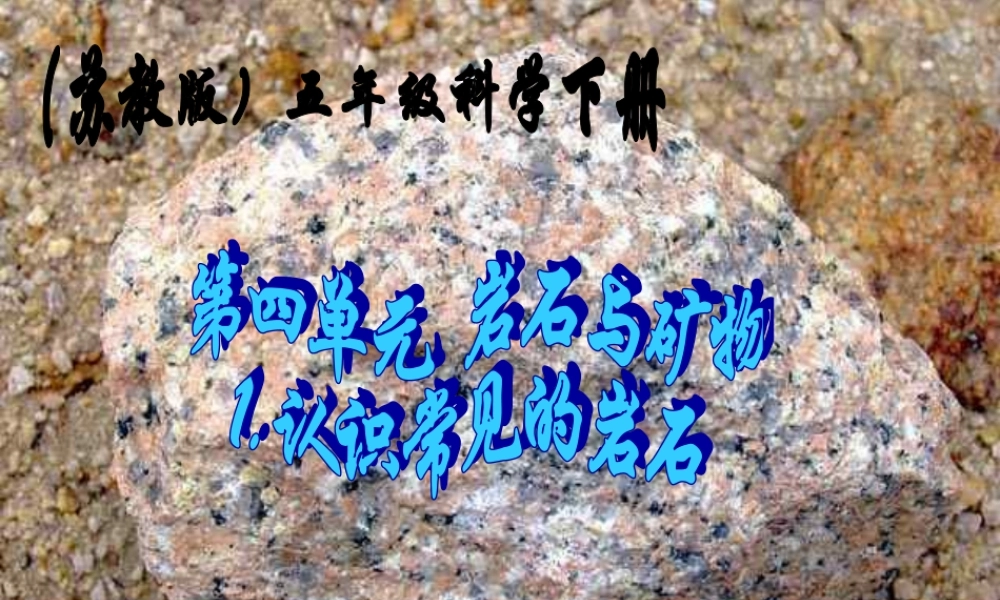 五年级科学下册 认识常见岩石1课件 苏教版