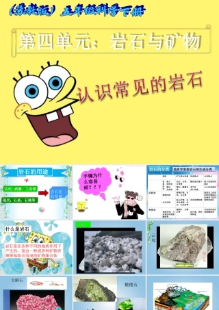 五年级科学下册 认识常见岩石4课件 苏教版