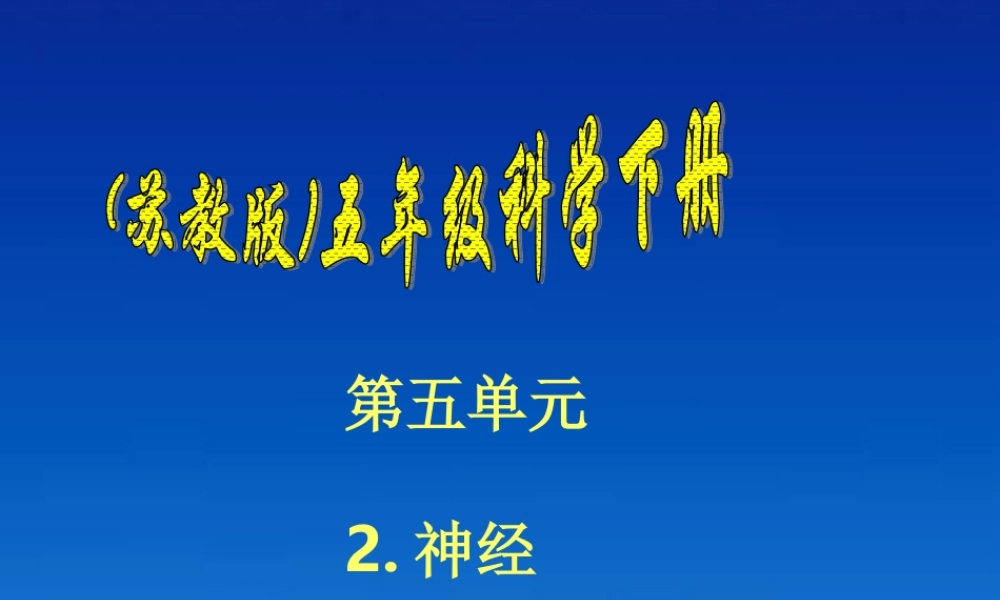 五年级科学下册 神经3课件 苏教版