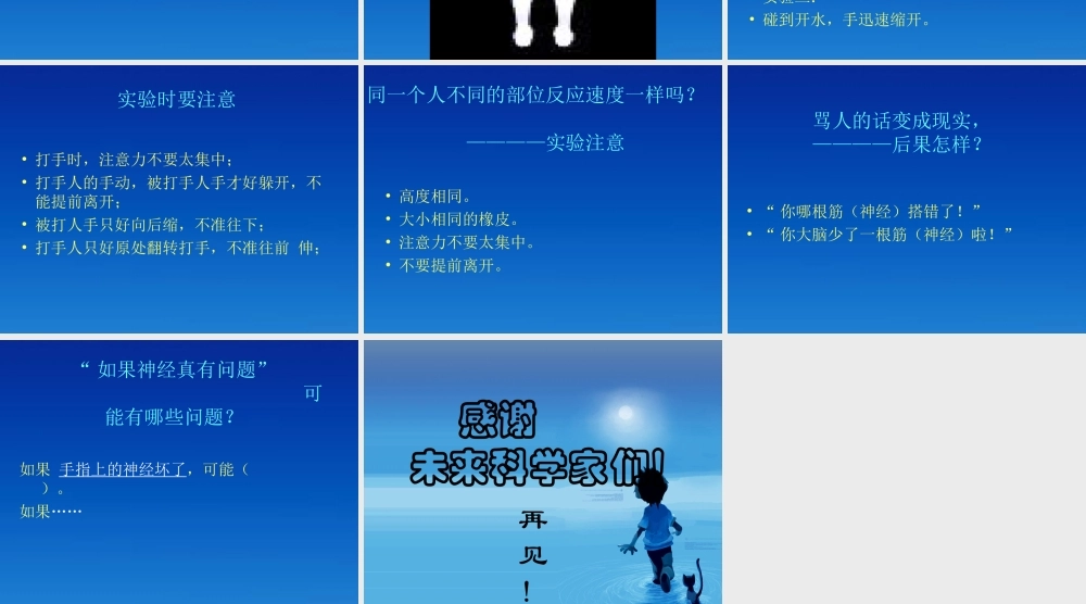 五年级科学下册 神经3课件 苏教版