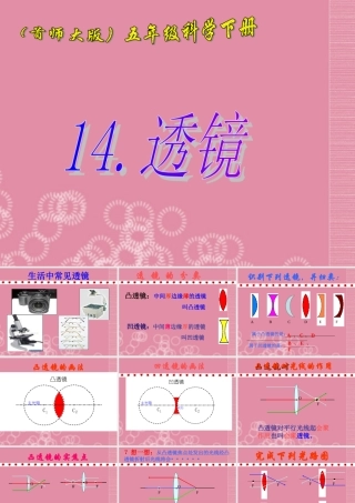 五年级科学下册 透镜 3课件 首师大版