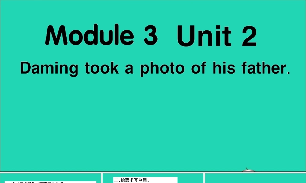 五年级英语上册 Module 3 Unit 2 Daming took a photo of his father作业课件 外研版（三起）-外研版小学五年级上册英语课件