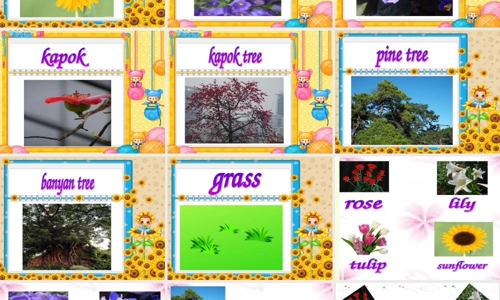 五年级英语上册 Module 3 Unit 7 words课件 广州版