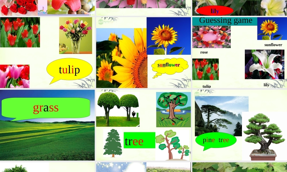 五年级英语上册 Module 3 Unit 7(2)课件 广州版